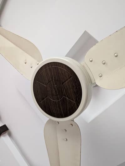 Pakfan 30 watt for sale