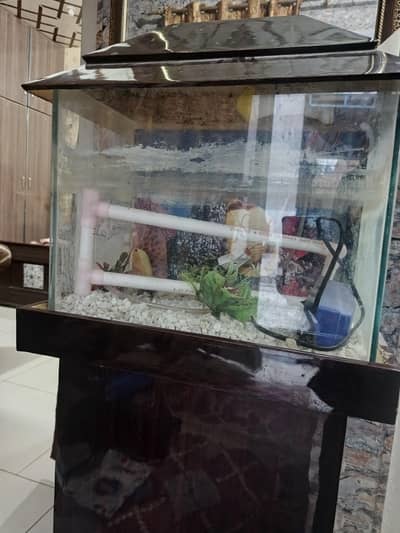 fishing pot