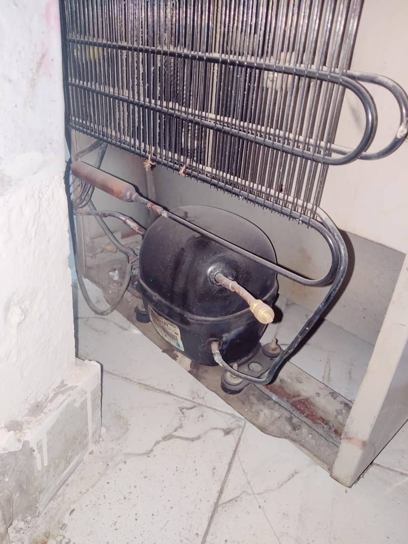 Medium Refrigerator 5