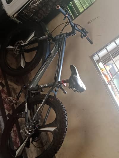 Streethauk Bicycle in Greey
