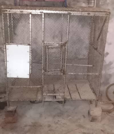 birds cage