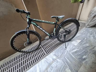 mountain bicycle without gears
