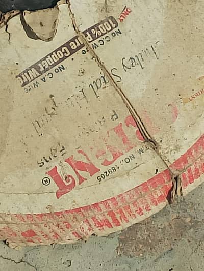 Pedestal Fan