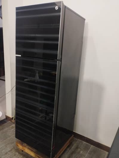 PEL Refrigerator desire glass door