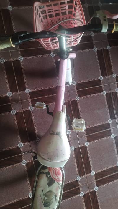 Chinese Bicycle