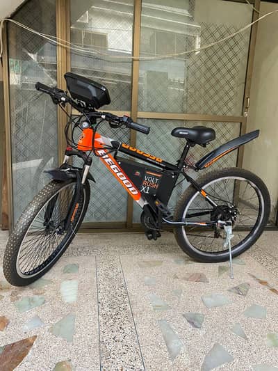 Custom Electric Hybrid Cycle 36V 10Ah | 350W BLDC Hub Motor | 34 km/h