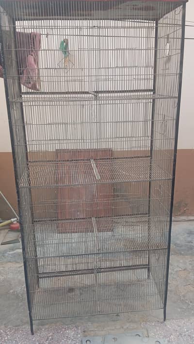 8 PORTION CAGE