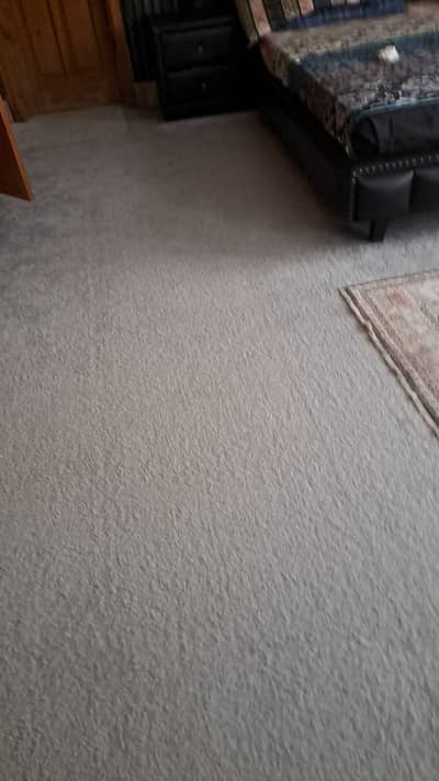 17x13 Feet Premium Room Carpet | Wall-to-Wall Carpet | Excellent