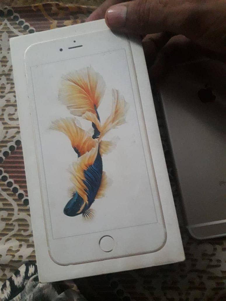 iphone 6 Plus 3