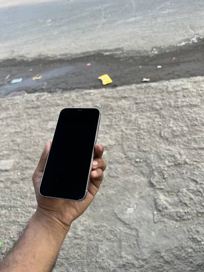 Apple iPhone 12 Pro Max