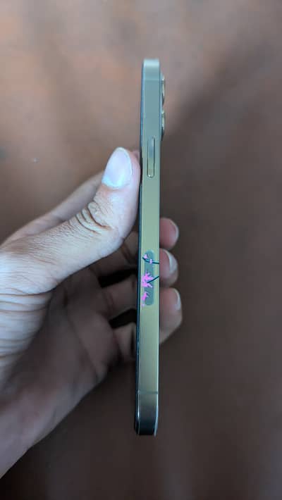 Apple iPhone 12 Pro Max