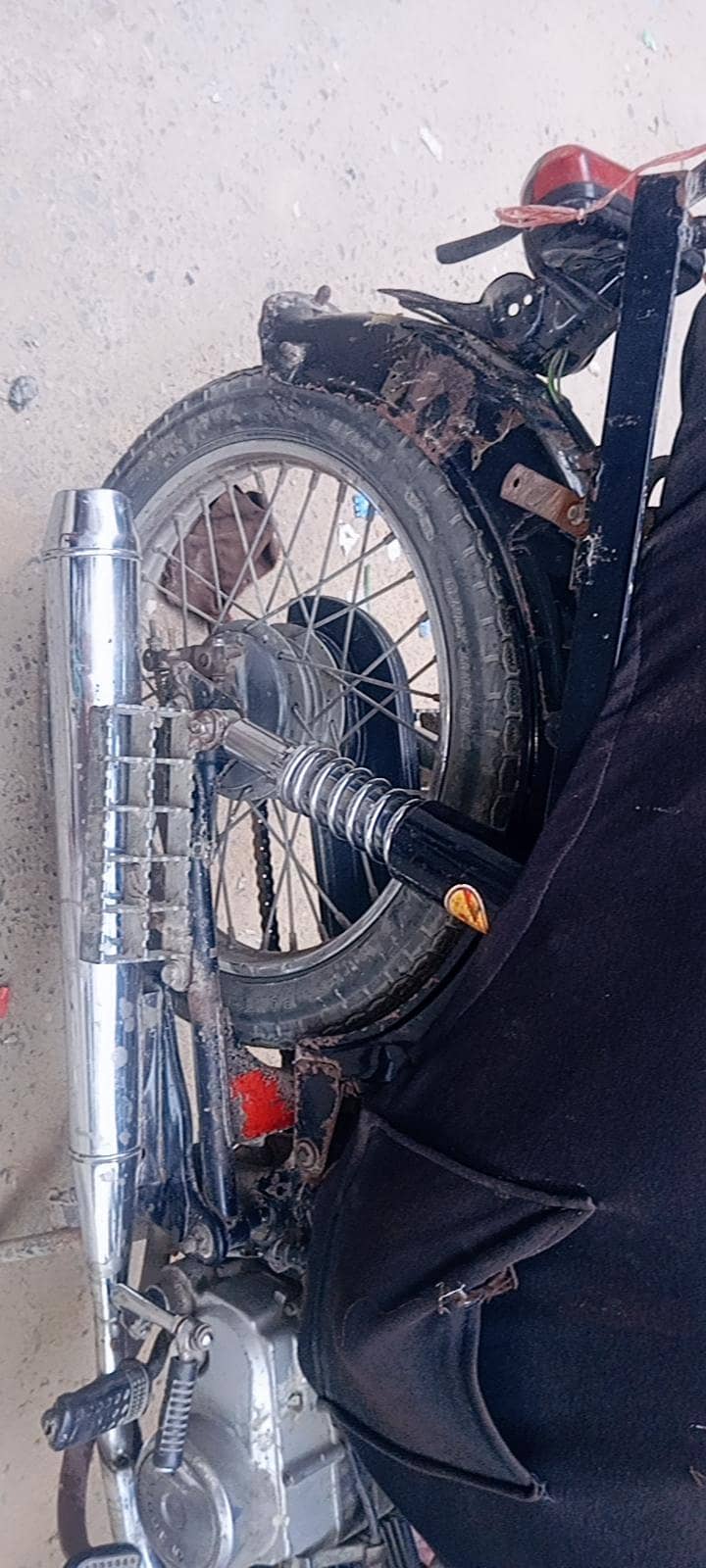 unique baik 3