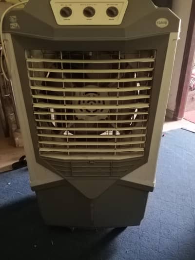 Canon air cooler