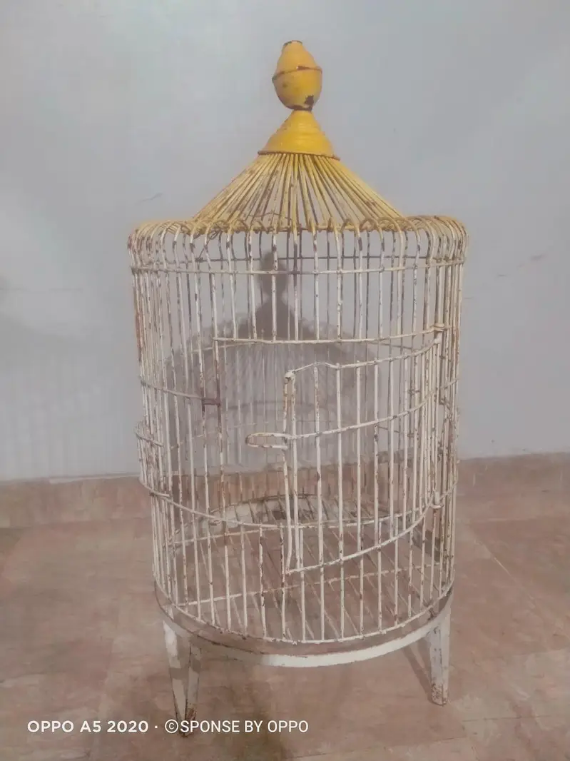 Best Quality Cage — photo 2