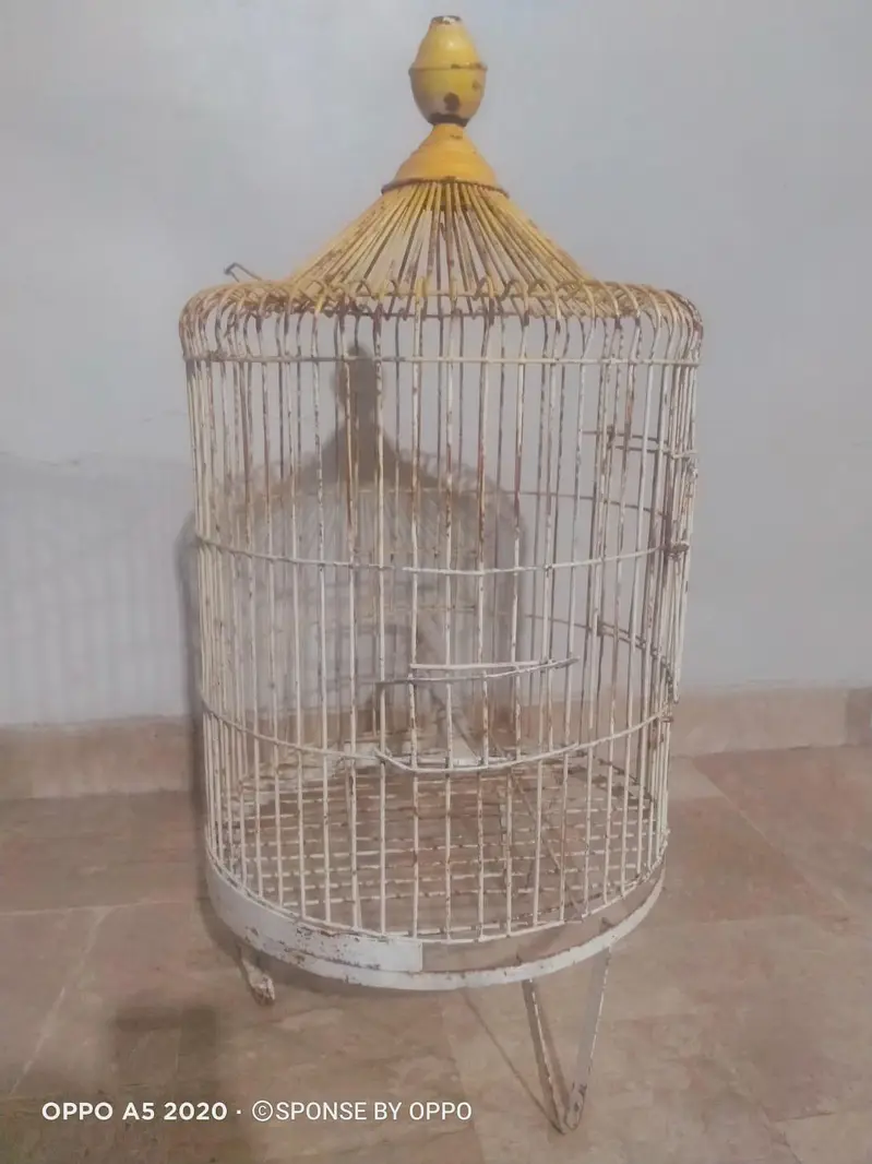 Best Quality Cage — photo 3