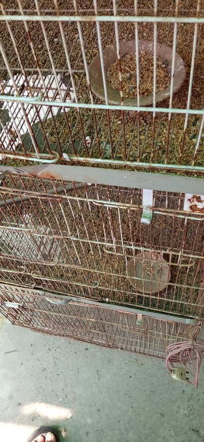 cages available for sale