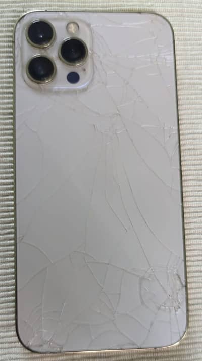 Apple iPhone 12 Pro Max