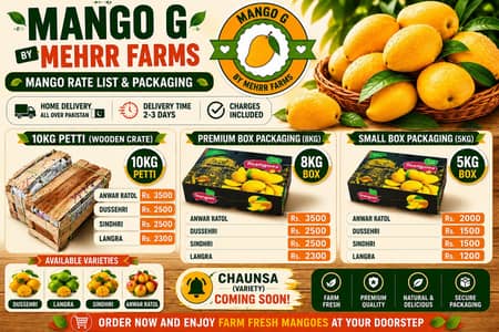 Multani Mangoes ملتانی آم
