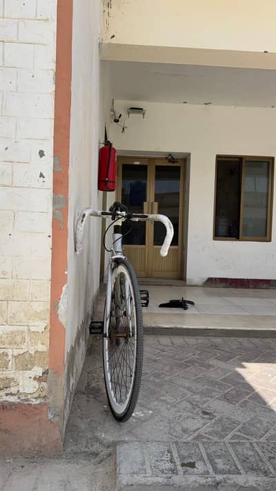 Fixed gear mountain bike
