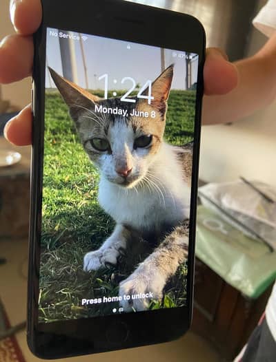Apple iPhone 7 Plus