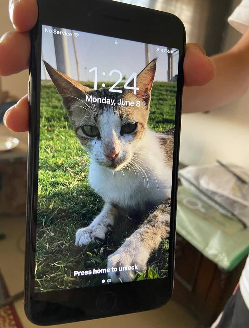 Apple iPhone 7 Plus 0