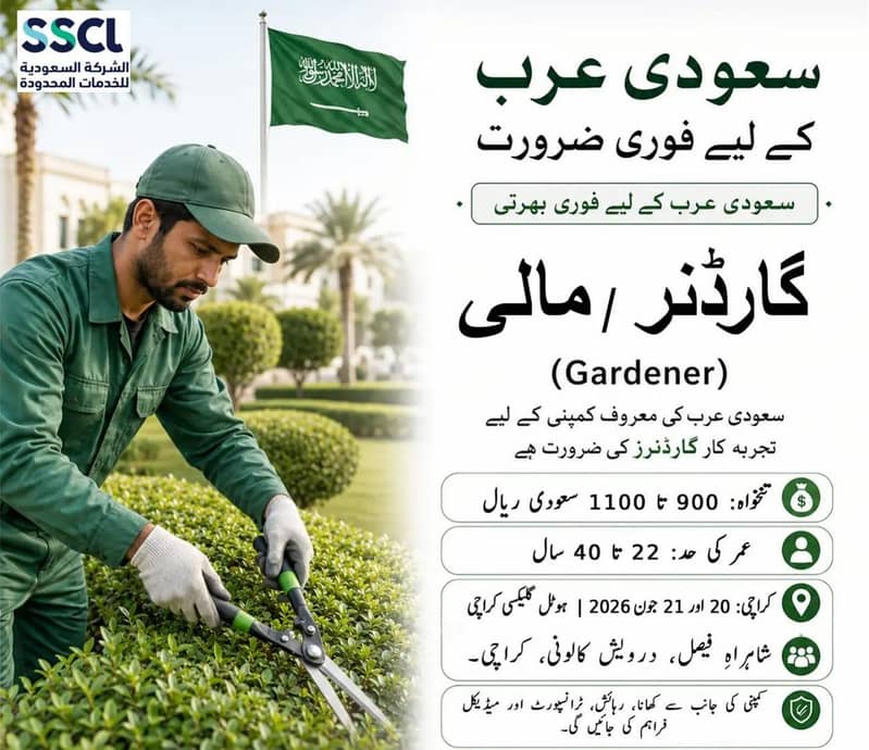Gulf work visas 4