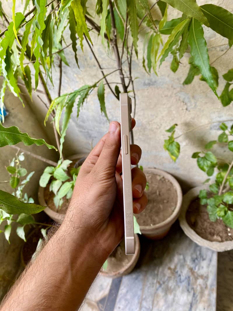 Apple iPhone 14 2