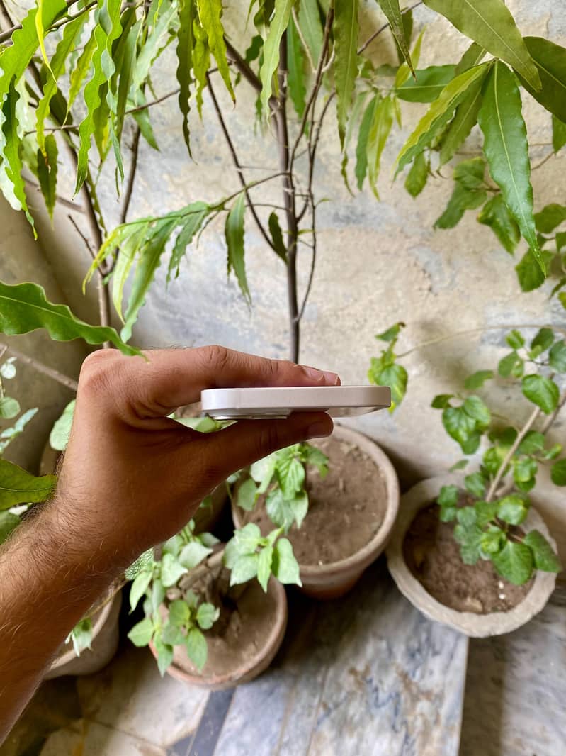 Apple iPhone 14 5
