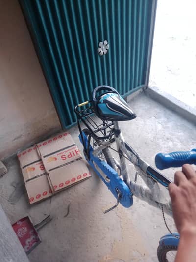 cruiser cycle for sale