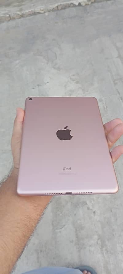 iPad mini5 new model 26.5 version update