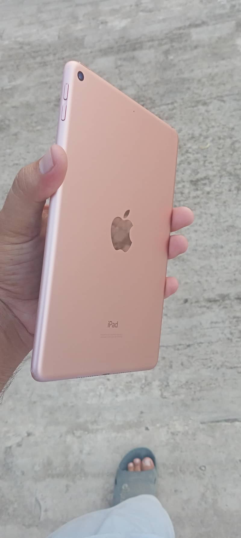 iPad mini5 new model 26.5 version update 3