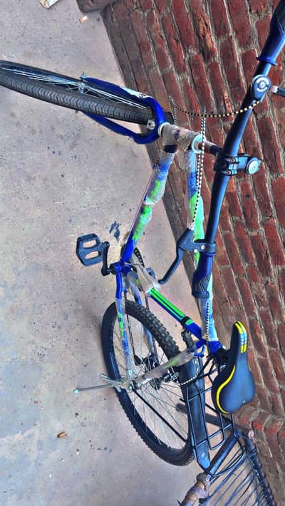 new cycle