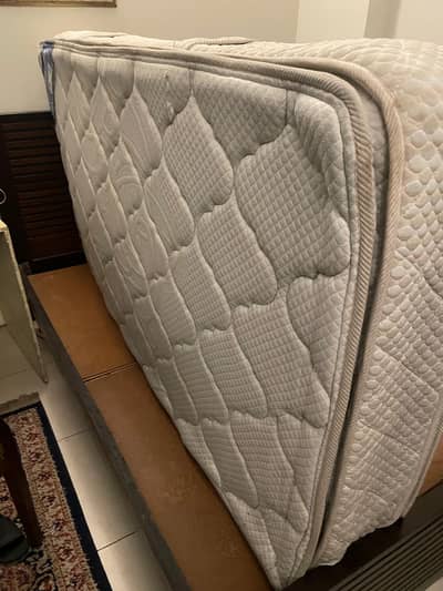 Master Celeste Bravo Plus Single Mattress| Queen Size Spring Mattress
