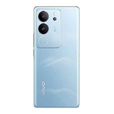 Vivo V29e