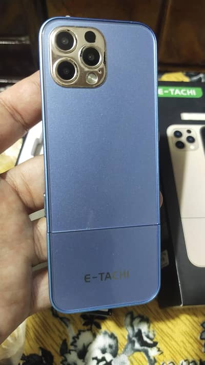E-Tachi iPro keypad mobile phone