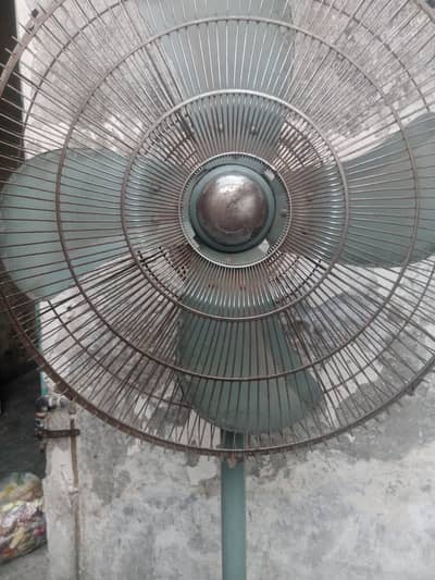 Royal Table Fan