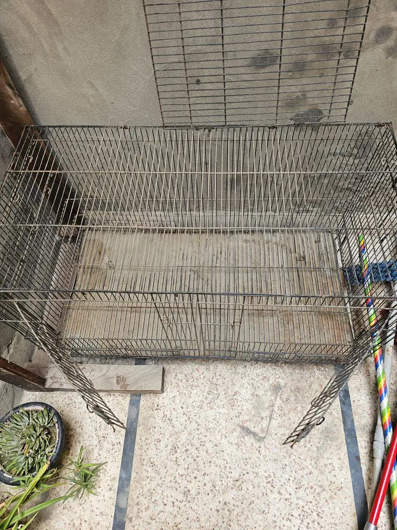 Metal Cage — photo 2