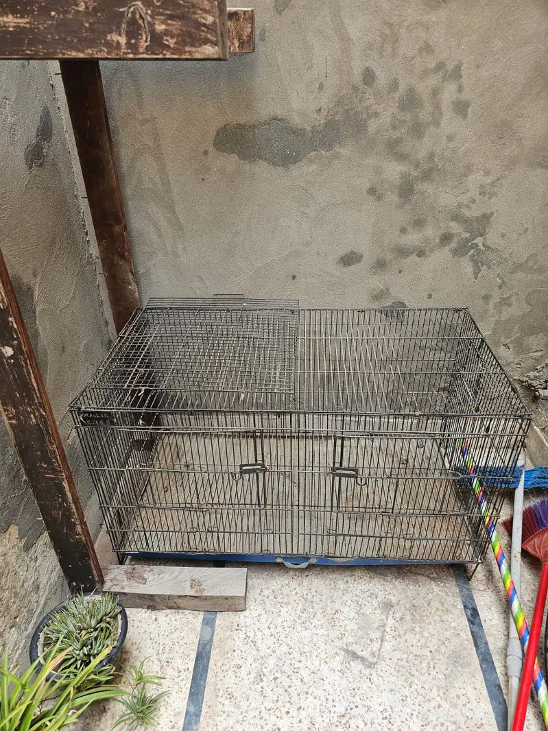 Metal Cage — photo 3