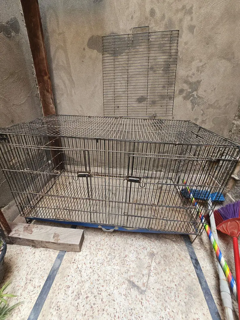 Metal Cage — photo 4