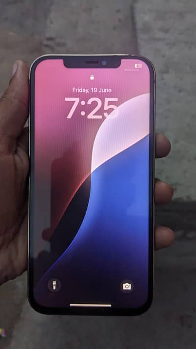 Apple iPhone 12 Pro Max