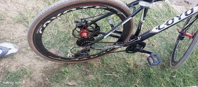 FOXX Forage Lightweight Aluminum Road Bike – 21 Gears
