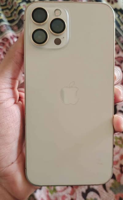 Apple iPhone 12 Pro Max