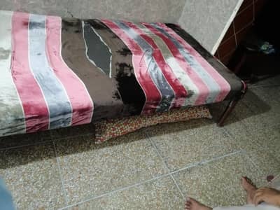 Molty foam single bed