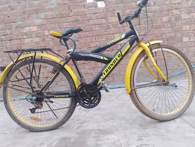 Thunder Mountain bike in excellent condition