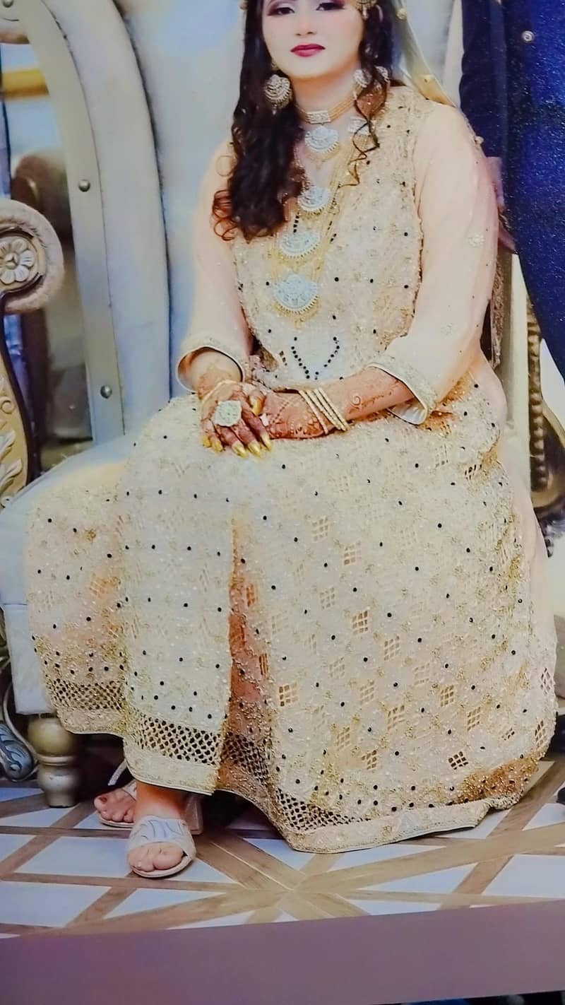 walima maxi 1