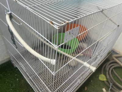Big birds / small dog cage