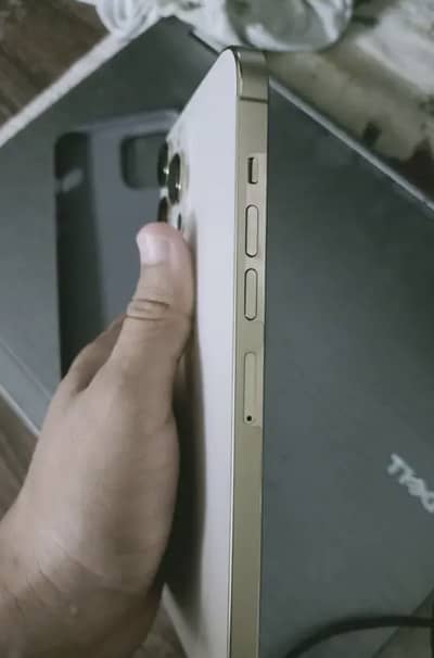 Apple iPhone 13 Pro Max 256Gb 10/10