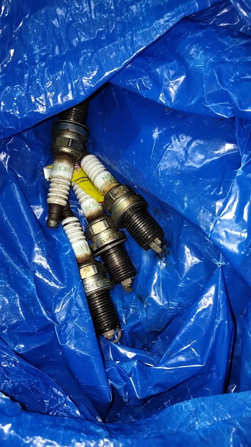 plug coil and plug 1