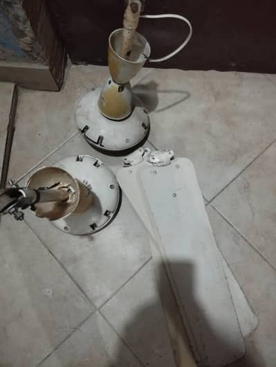 Copper Ceiling Fans for Sale – Excellent Condition