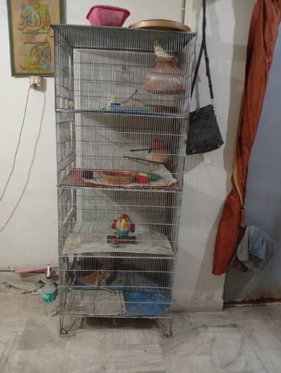 4 portion cage sale with birds pairs lotino and cocktail